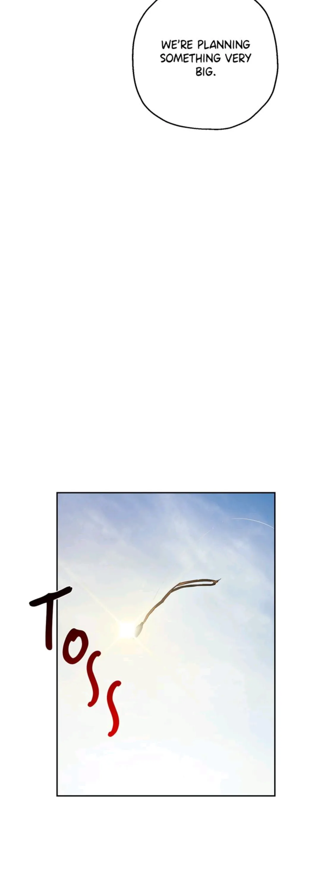 7981161 1080 3000 28688